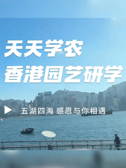 与香港园艺学会联合举办香港园艺研学，专业园境师带队讲解。