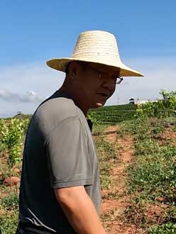 农业人叶涛，50多岁通讯人跨界搞农业，他要用1000万打造一个梦。